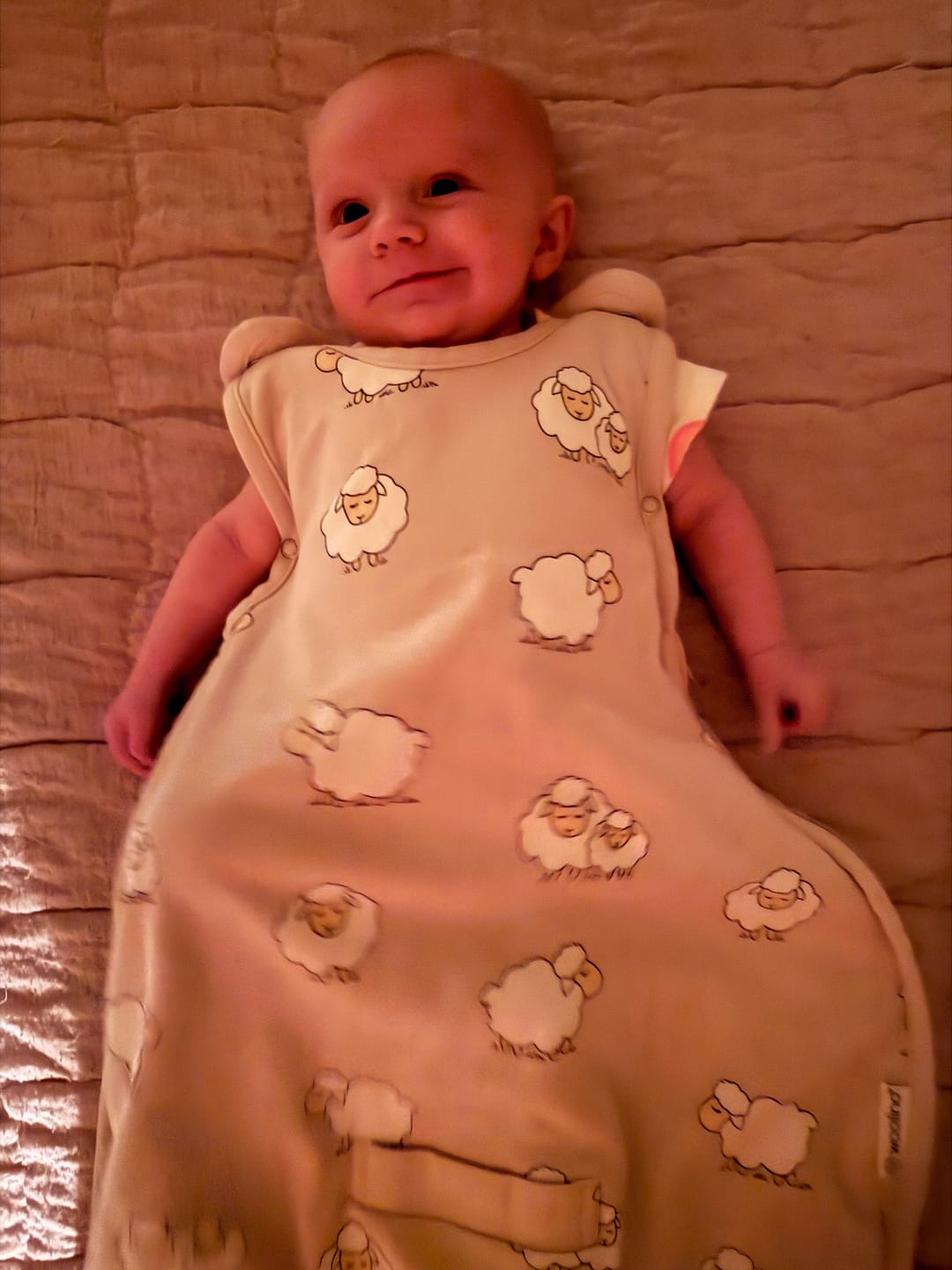 Customer photo review of 4 Season® Ultimate Baby Sleep Bag, Merino Wool & Organic Cotton, Sheep