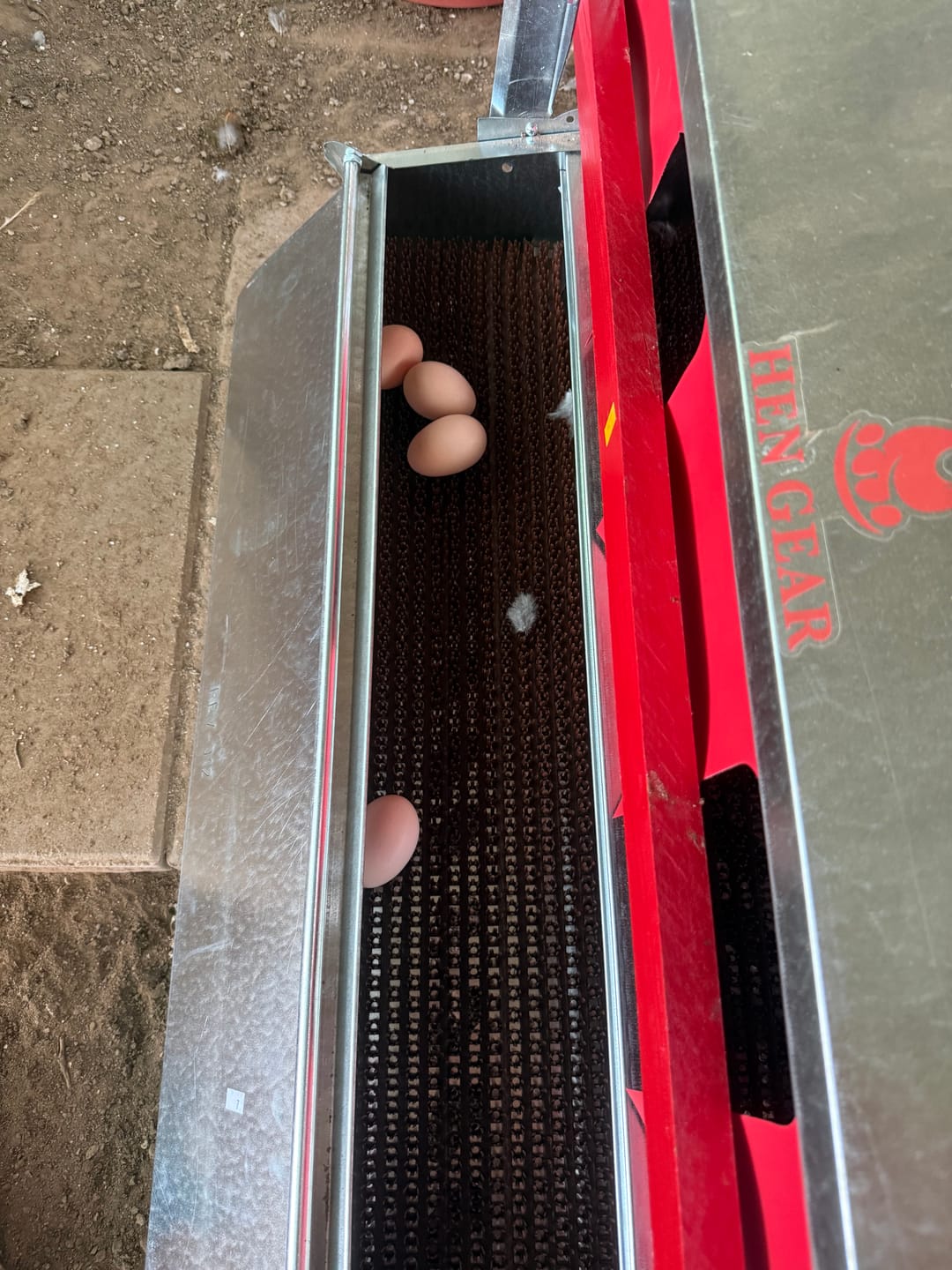 Customer photo review of Medium (34") Reversible Roll-out Nest Box (Up to 32 Hens)
