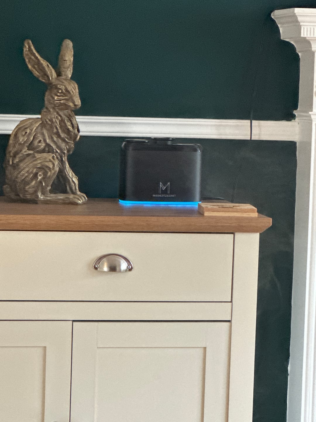 Customer photo review of ZenDuo - Dualhead Waterless Diffuser