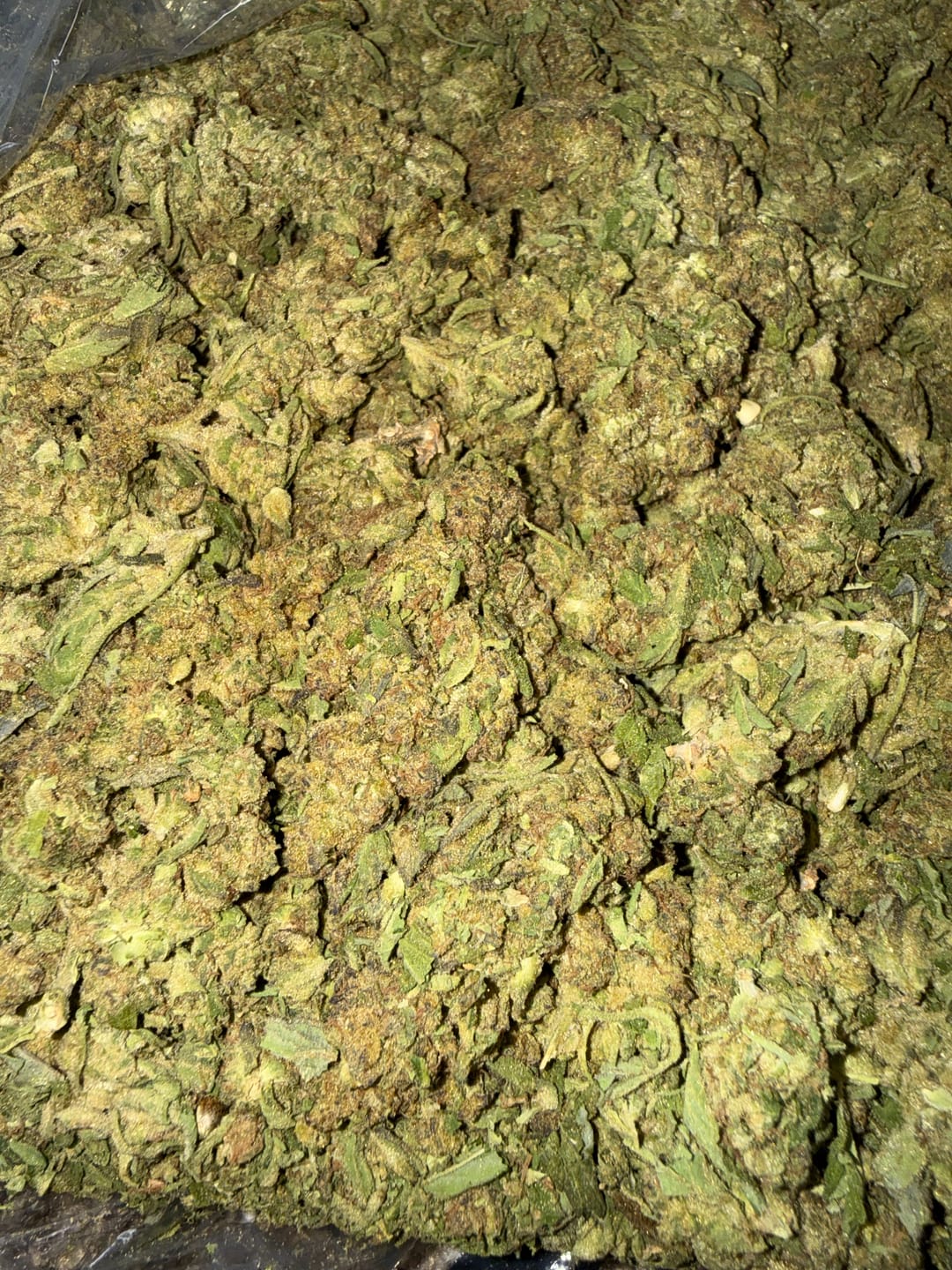 Customer photo review of Pinnacle Mintz - Bulk - Indica