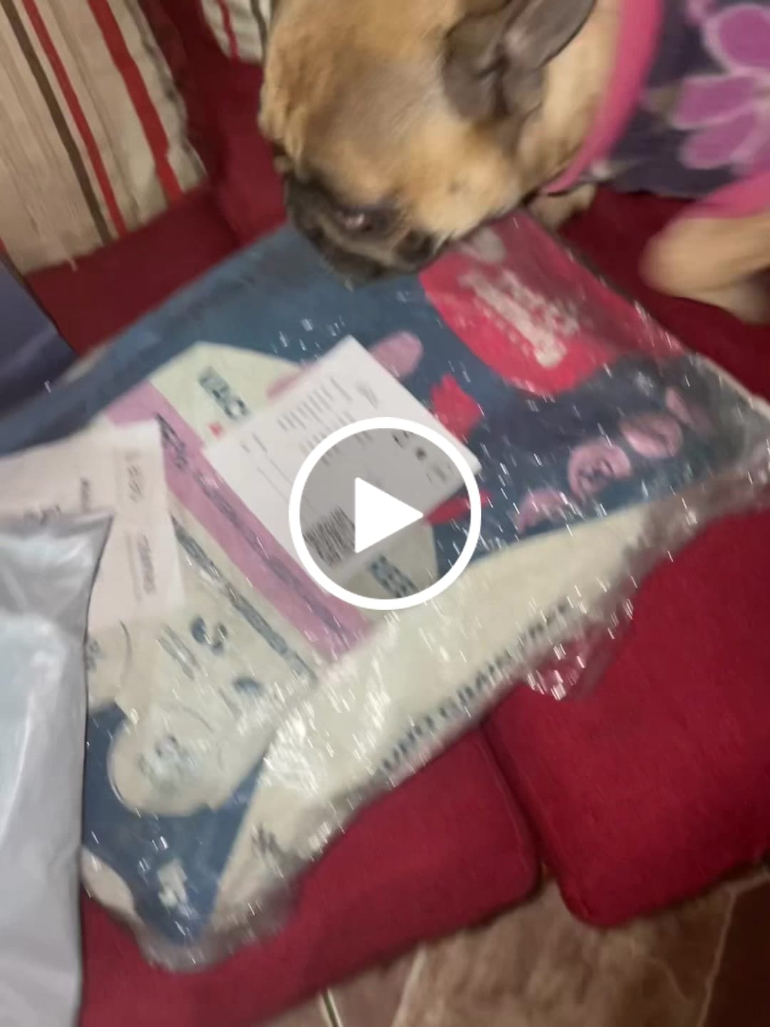 Customer video review of PetFamily Foods