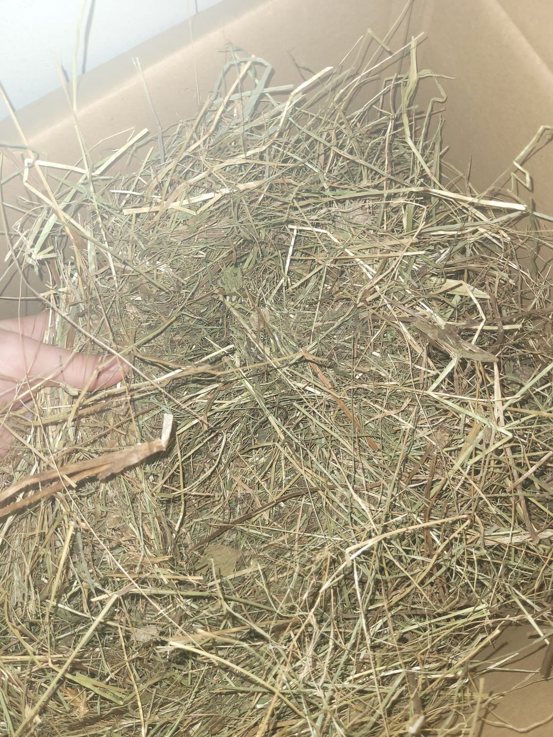 Customer photo review of Abonnement Foin de prairie en vrac