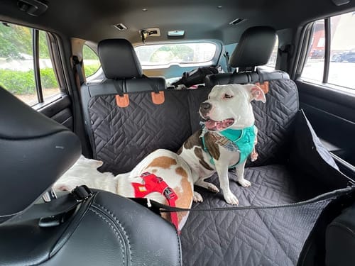 Customer photo review of MrBarks Dog Seat Cover