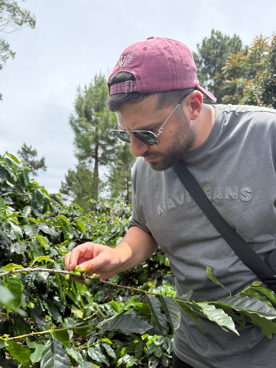 Customer photo review of SCA Roasting: Foundation + Intermediate
