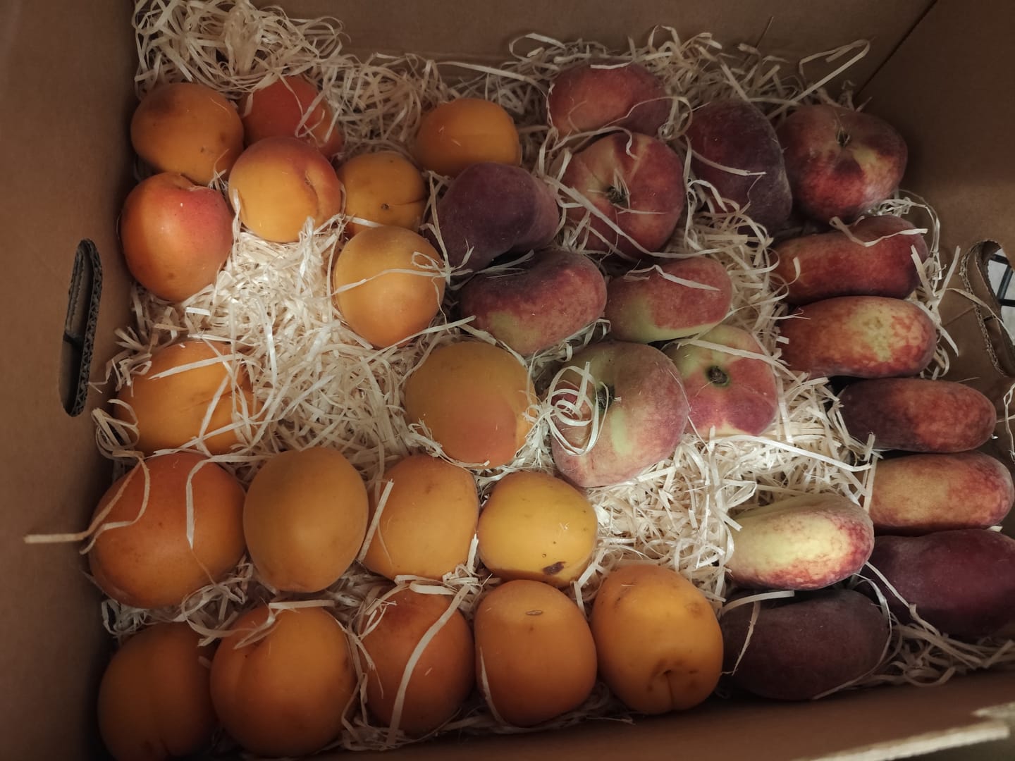 Customer photo review of Weinbergpfirsiche "Paraguayo" Bio von Jose 2kg Box Sonderpreis %
