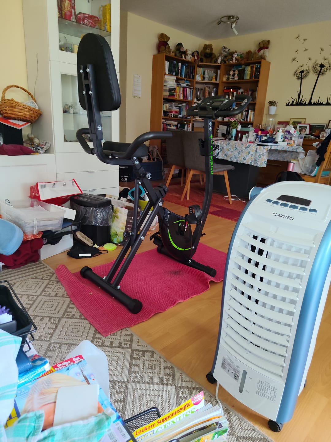 Customer photo review of Tretmann RIDE- Heimtrainer mit tiefem Einstieg