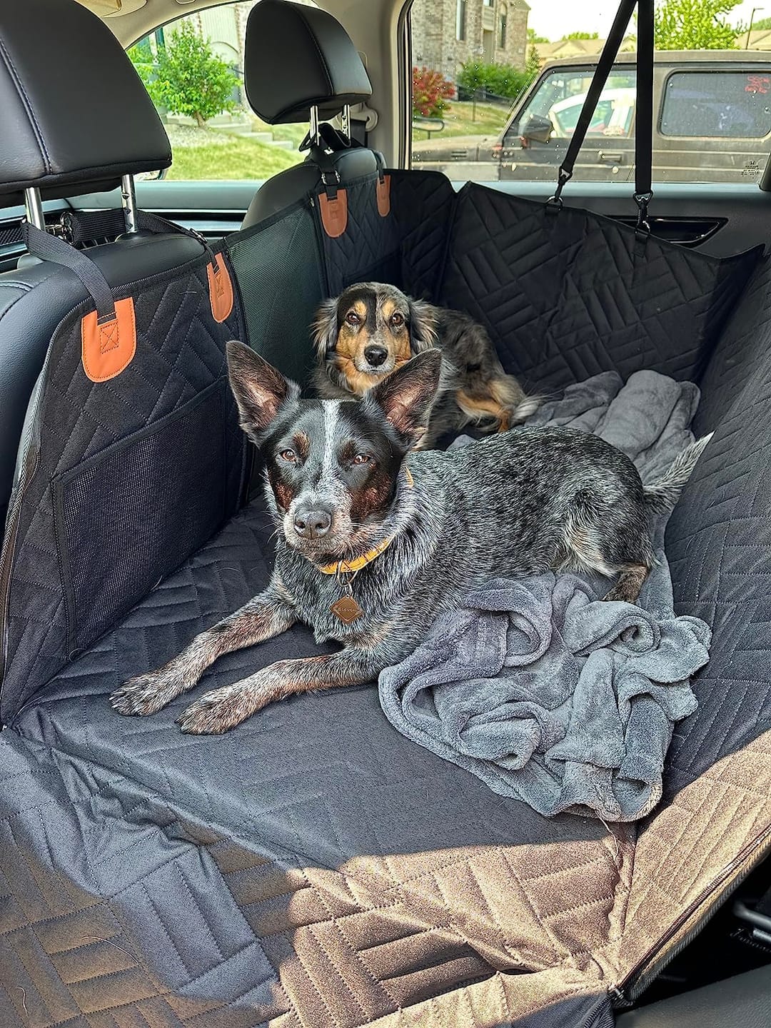 Customer photo review of MrBarks Dog Seat Cover