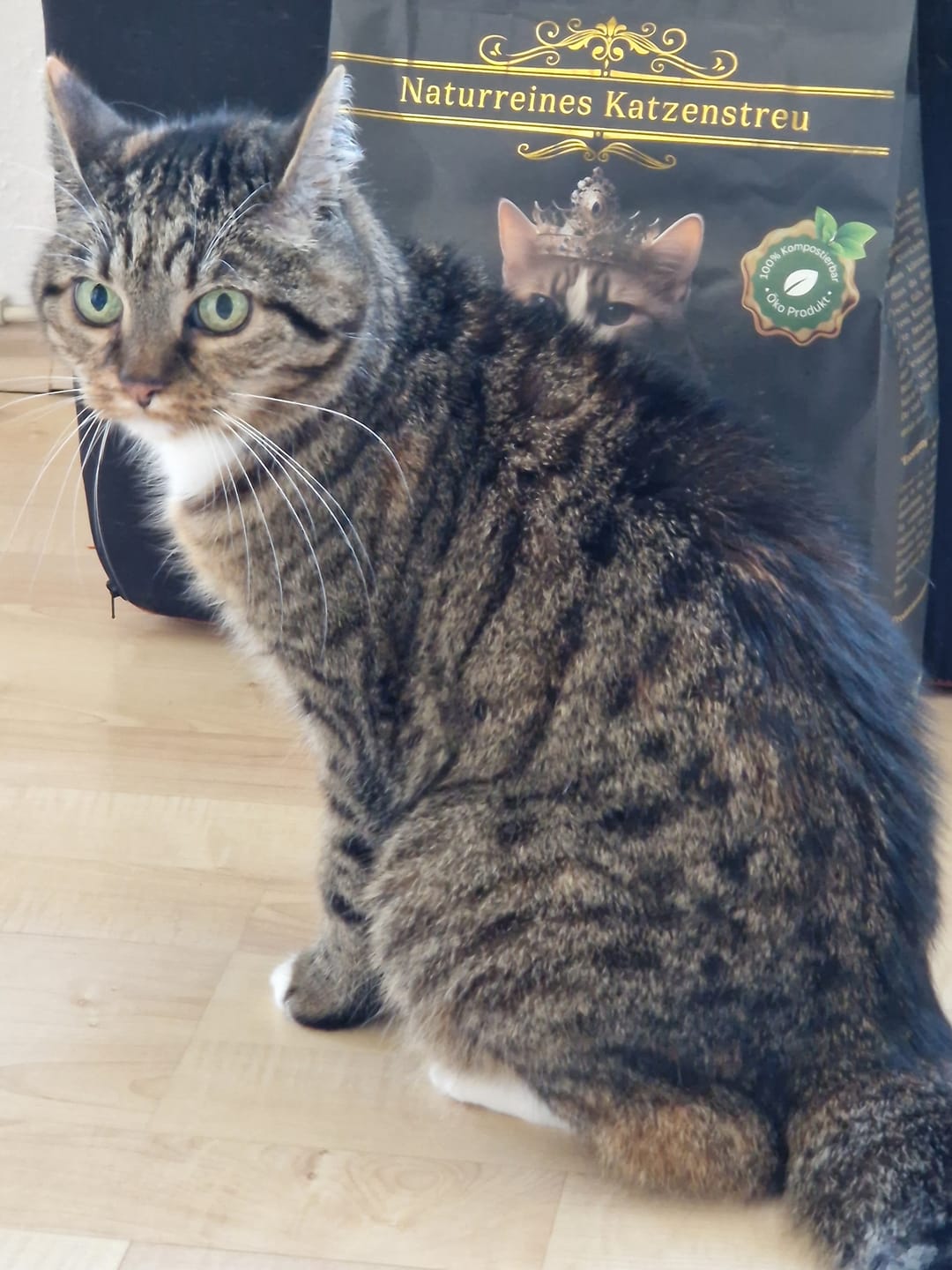 Customer photo review of Katzenstreu 2+1 Aktion