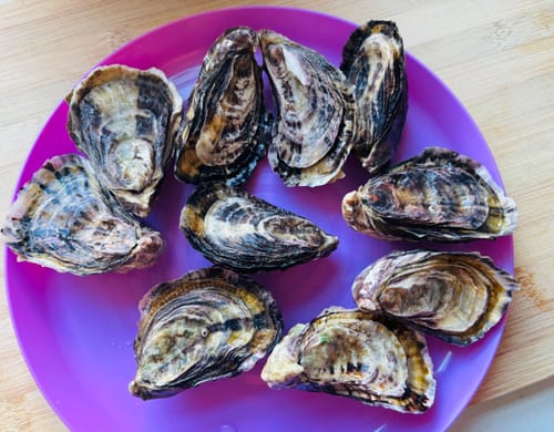 Customer photo review of Live NZ Pacific Oysters