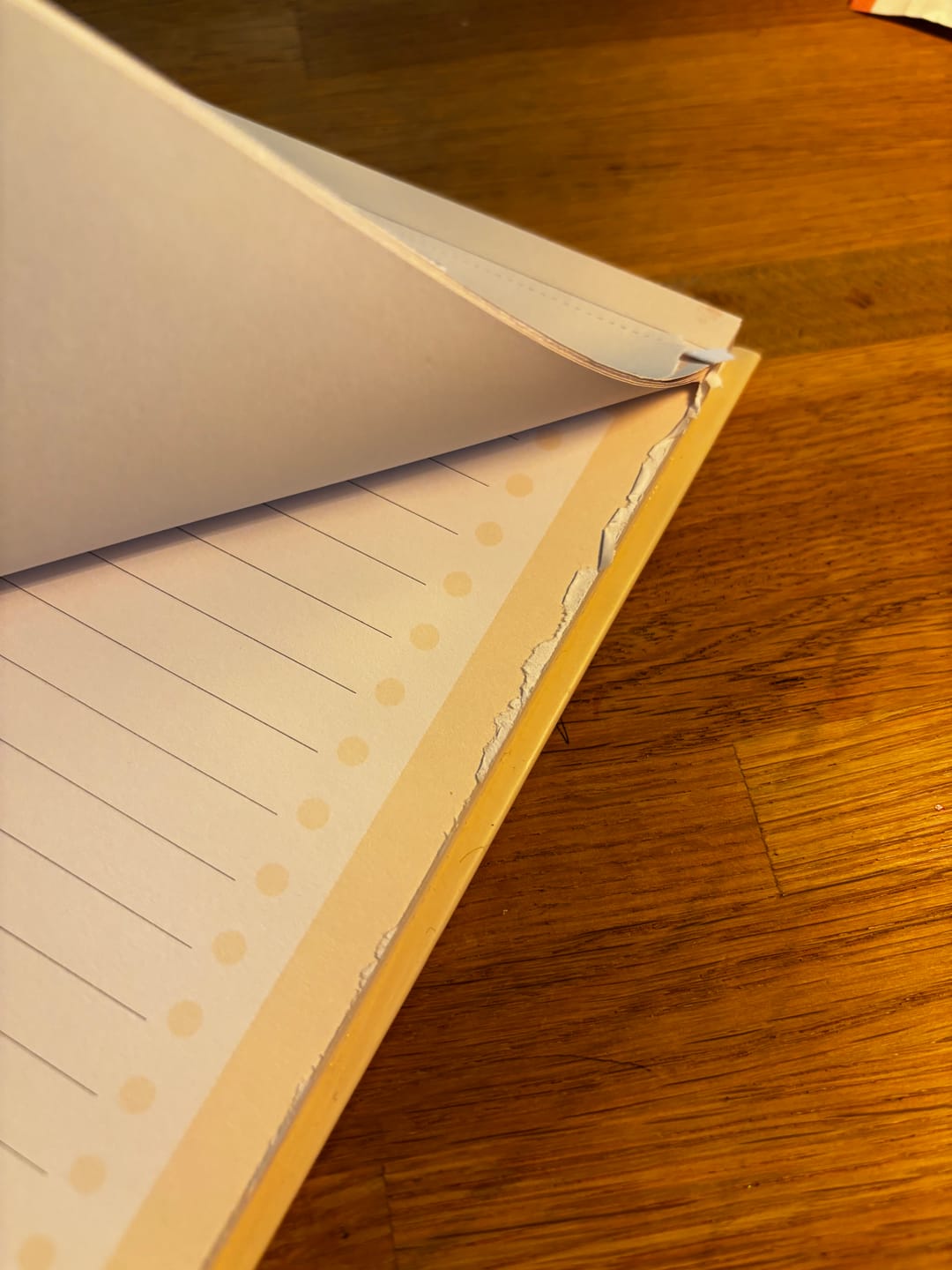 Customer photo review of Home & Work To-Do List
