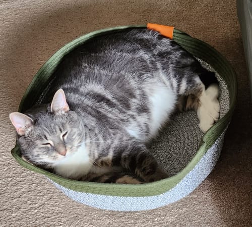 Kundenbewertung mit Foto zu Fellnest Katzenkorb