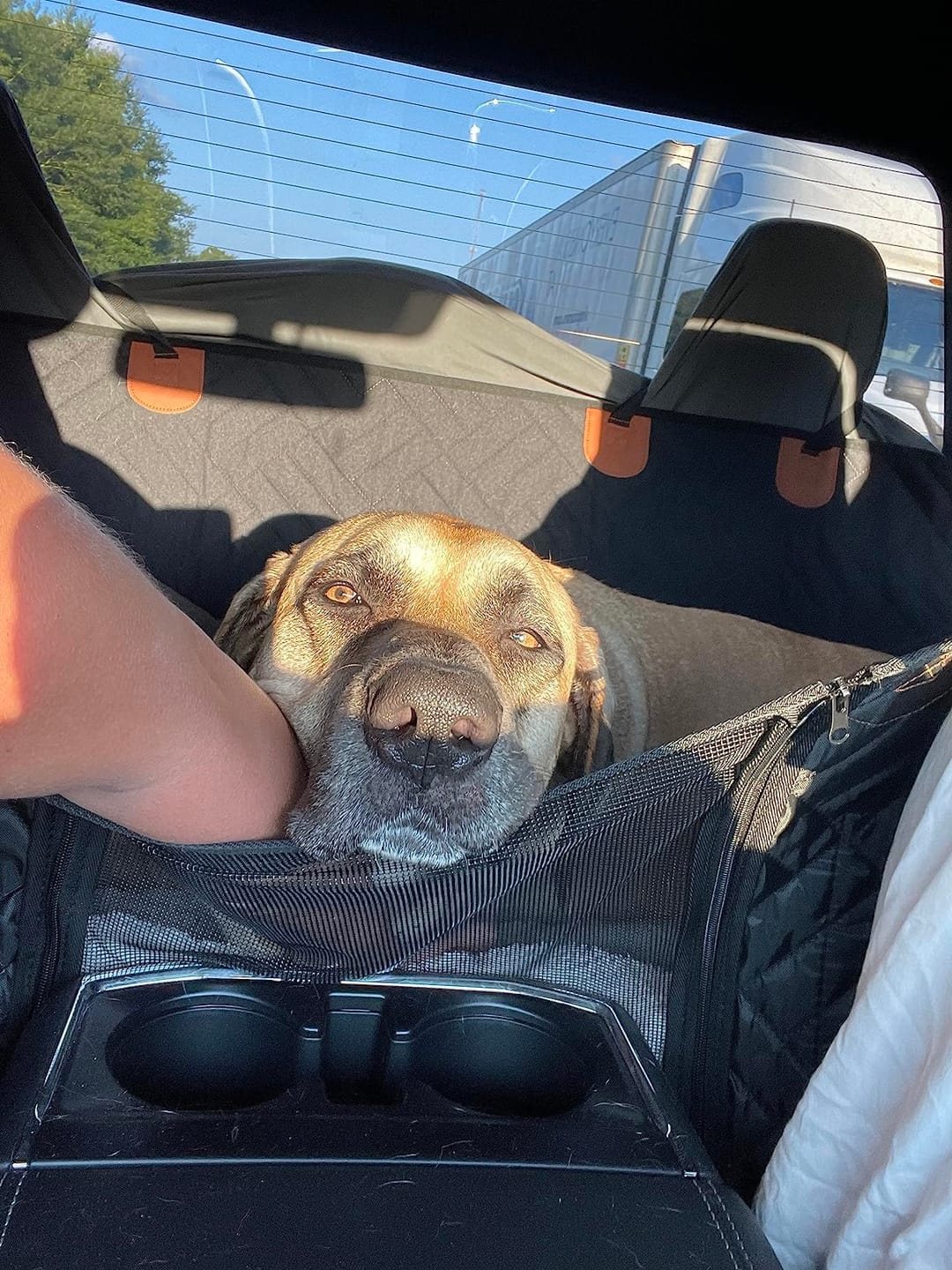Customer photo review of MrBarks Dog Seat Cover