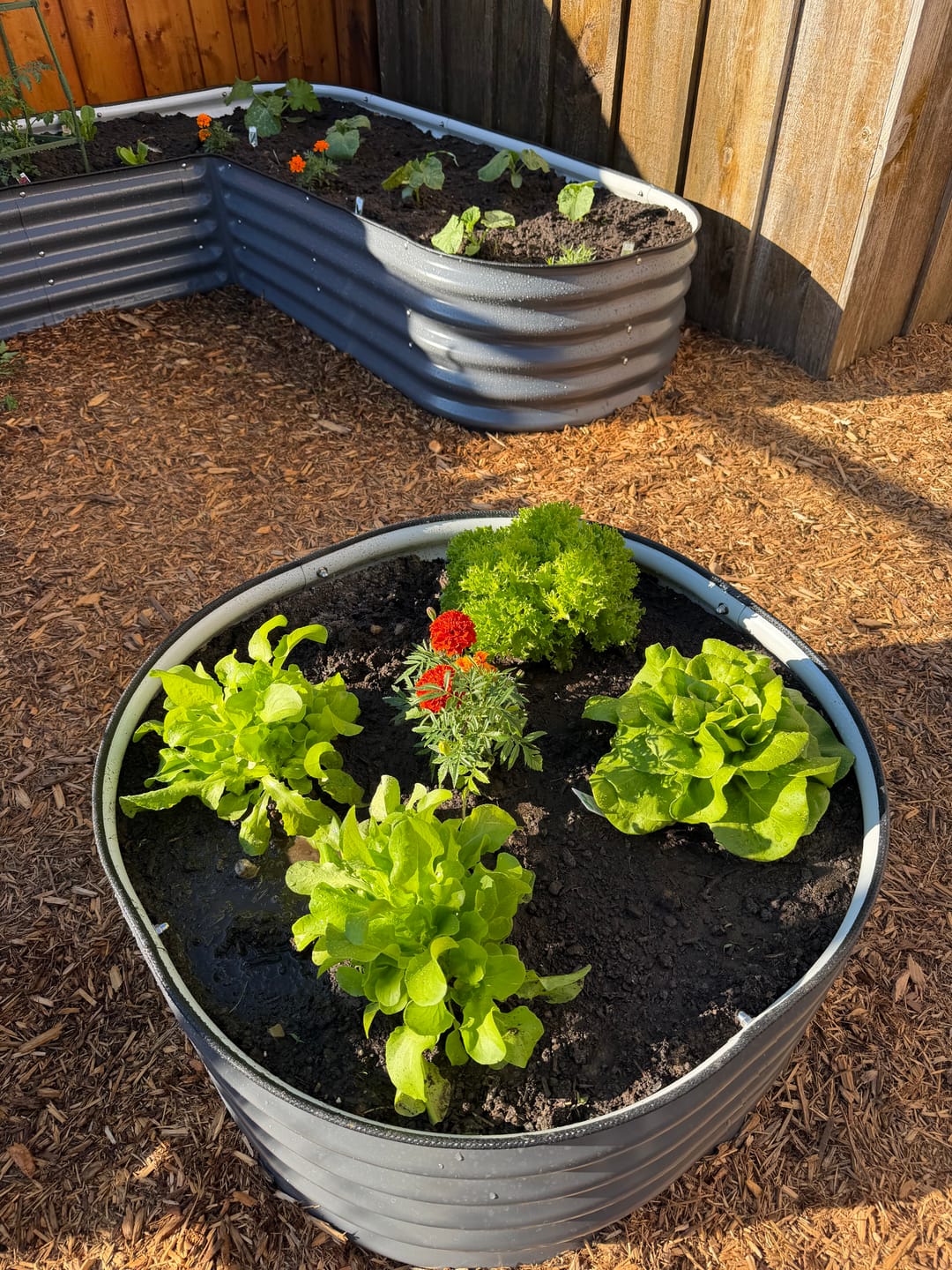 Customer photo review of 17" Tall U-Shape