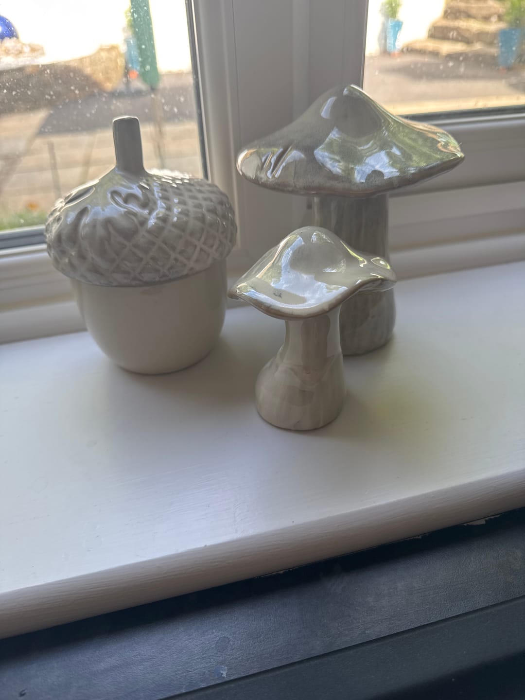 Customer photo review of Acorn Pot with Lid