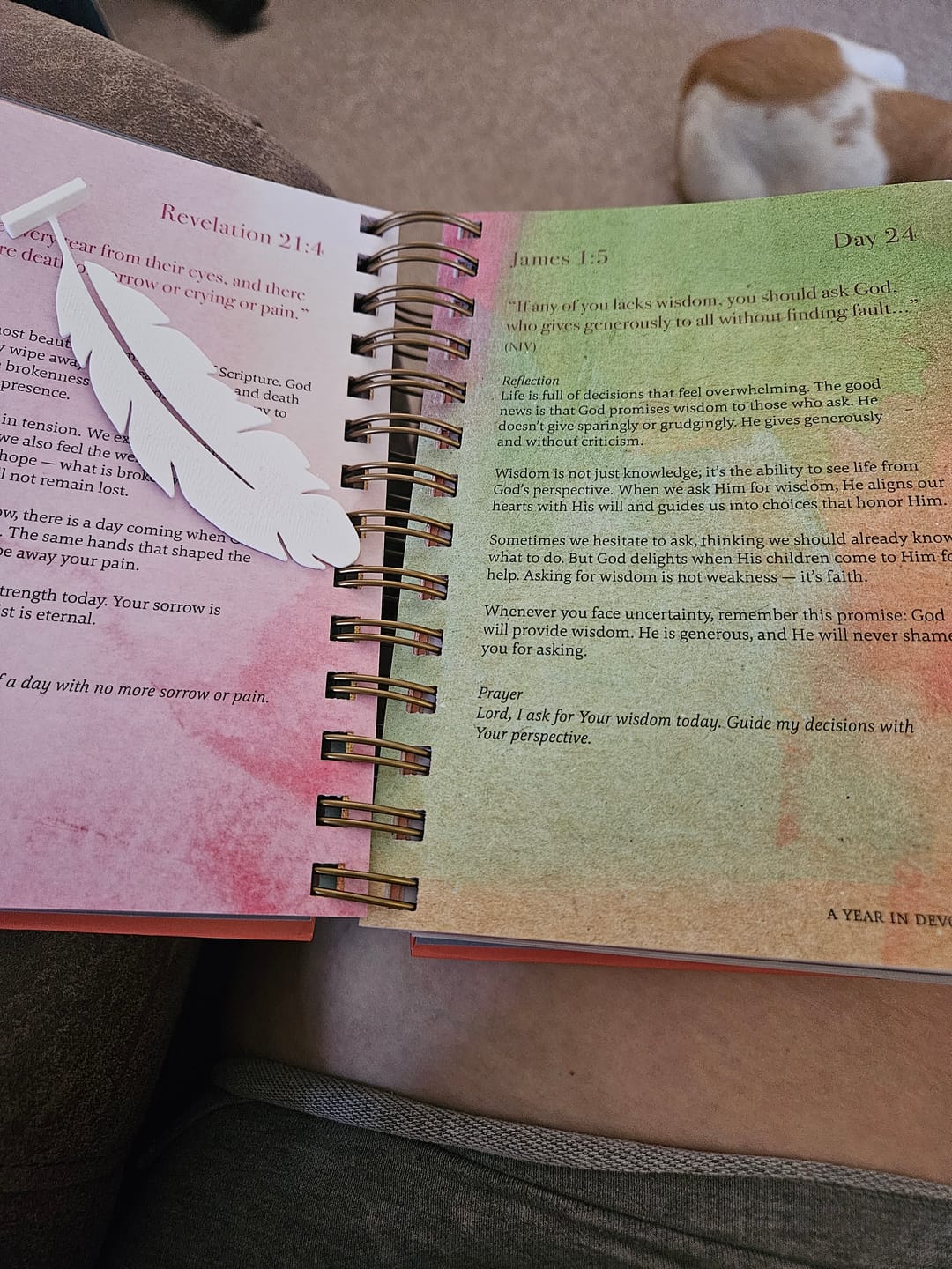 Customer photo review of A Year In Devotion: 365 Days To Draw Near God