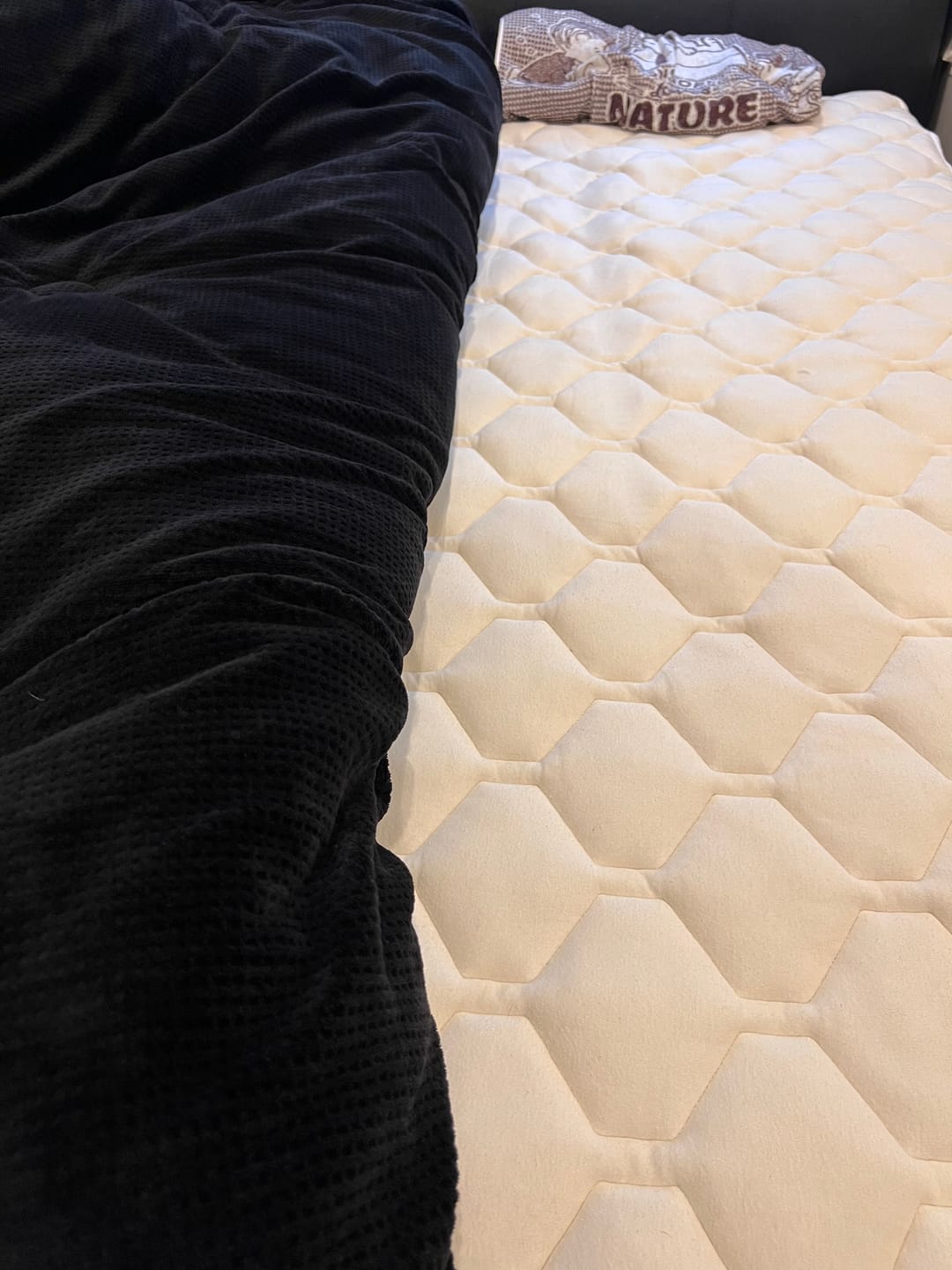 Customer photo review of SLEEP HEXAGON　ホルミシス敷パッド