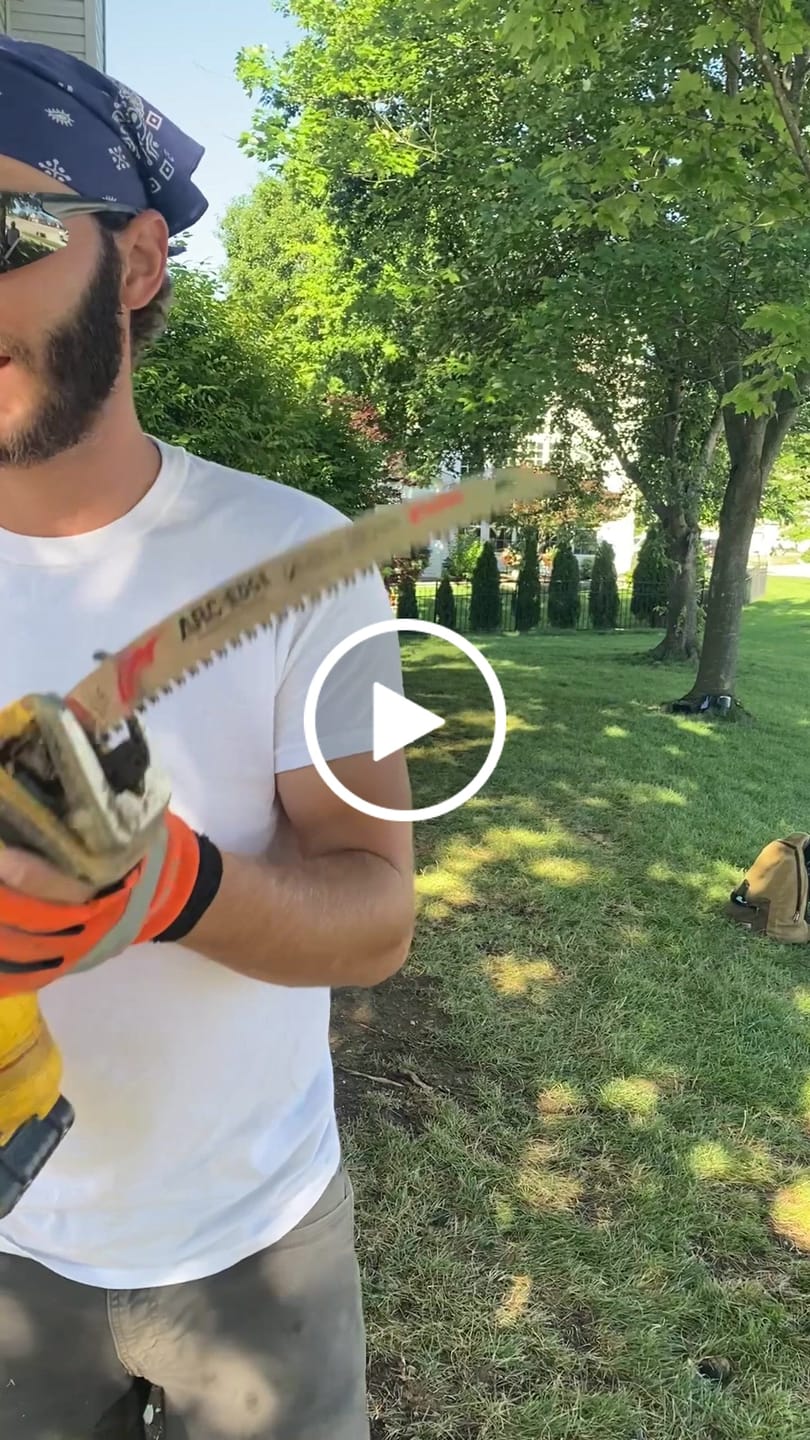 Customer video review of Tree Trimming/Wood Cutting – Japanese Teeth Arc Edge 6 TPI Reciprocating Saw Blade