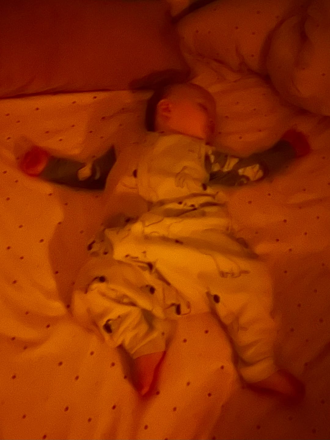 Customer photo review of 4 Season® Baby Sleep Bag with Feet, Merino Wool & Organic Cotton, Puppy