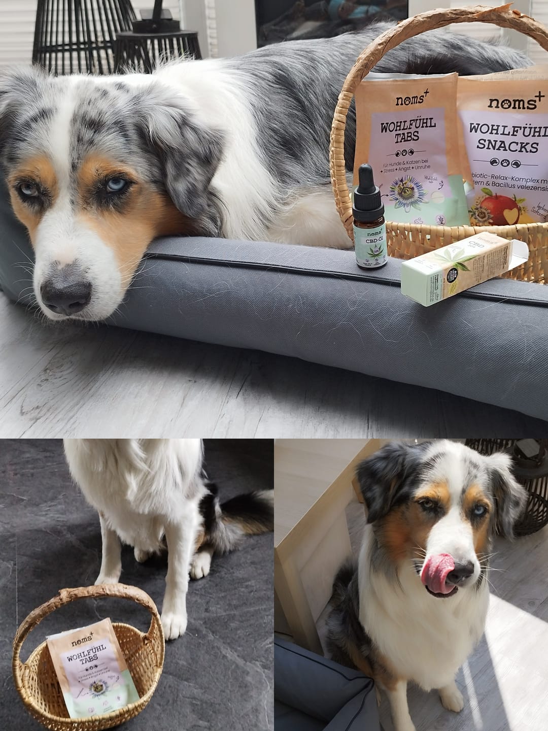 Customer photo review of Wohlfühlsnacks für Hunde bei Stress, Angst, Unruhe & Hyperaktivität