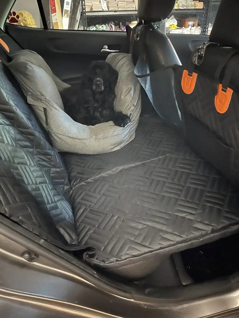 Customer photo review of MrBarks Dog Seat Cover
