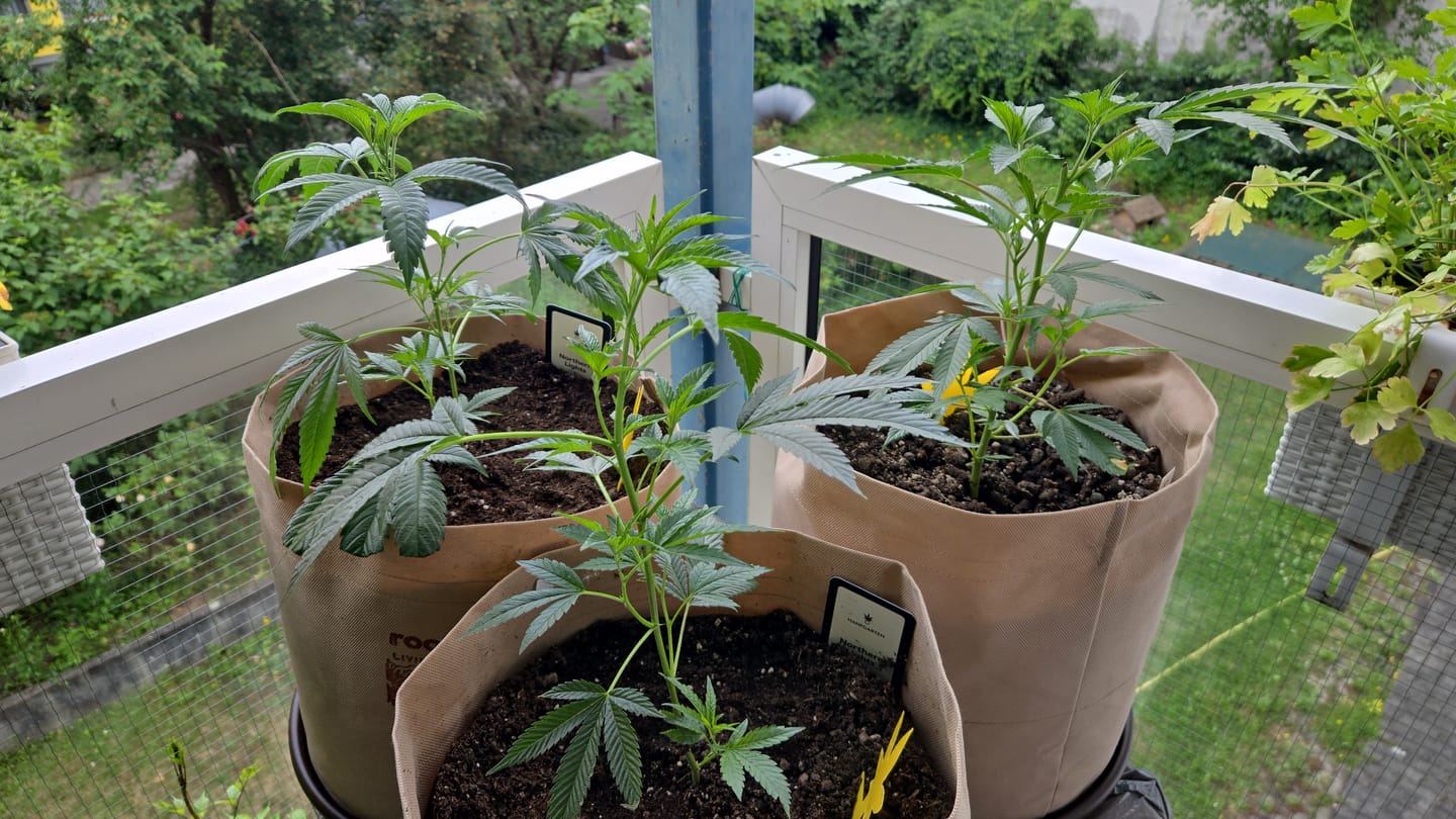 Customer photo review of Root Heaven Stoff Topf