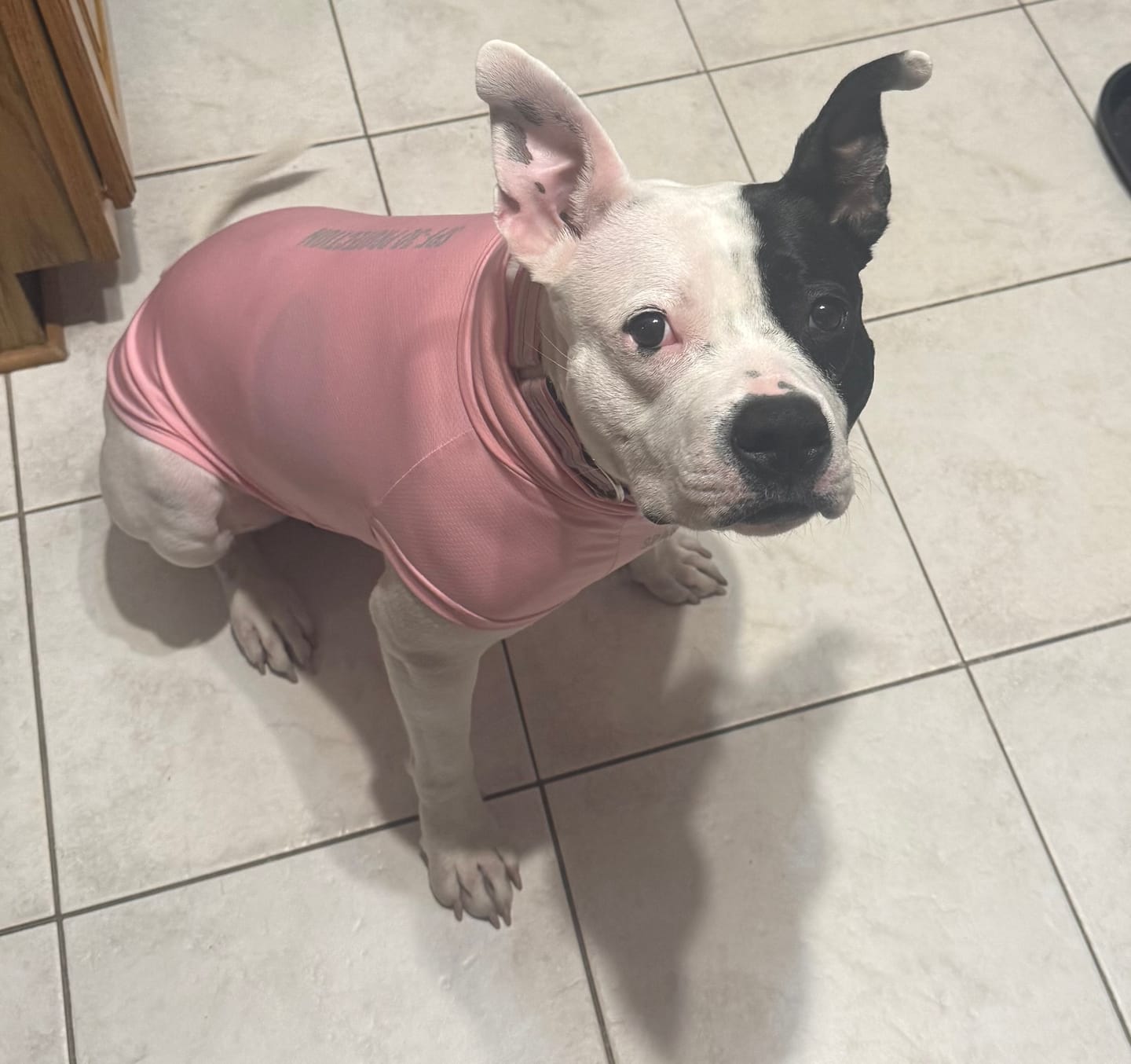 Customer photo review of Sunblock T-Shirt 3 Pack