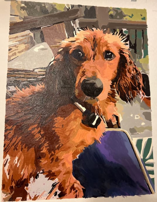 Customer photo review of Custom Paint By Numbers - Personalized Pet Portraits