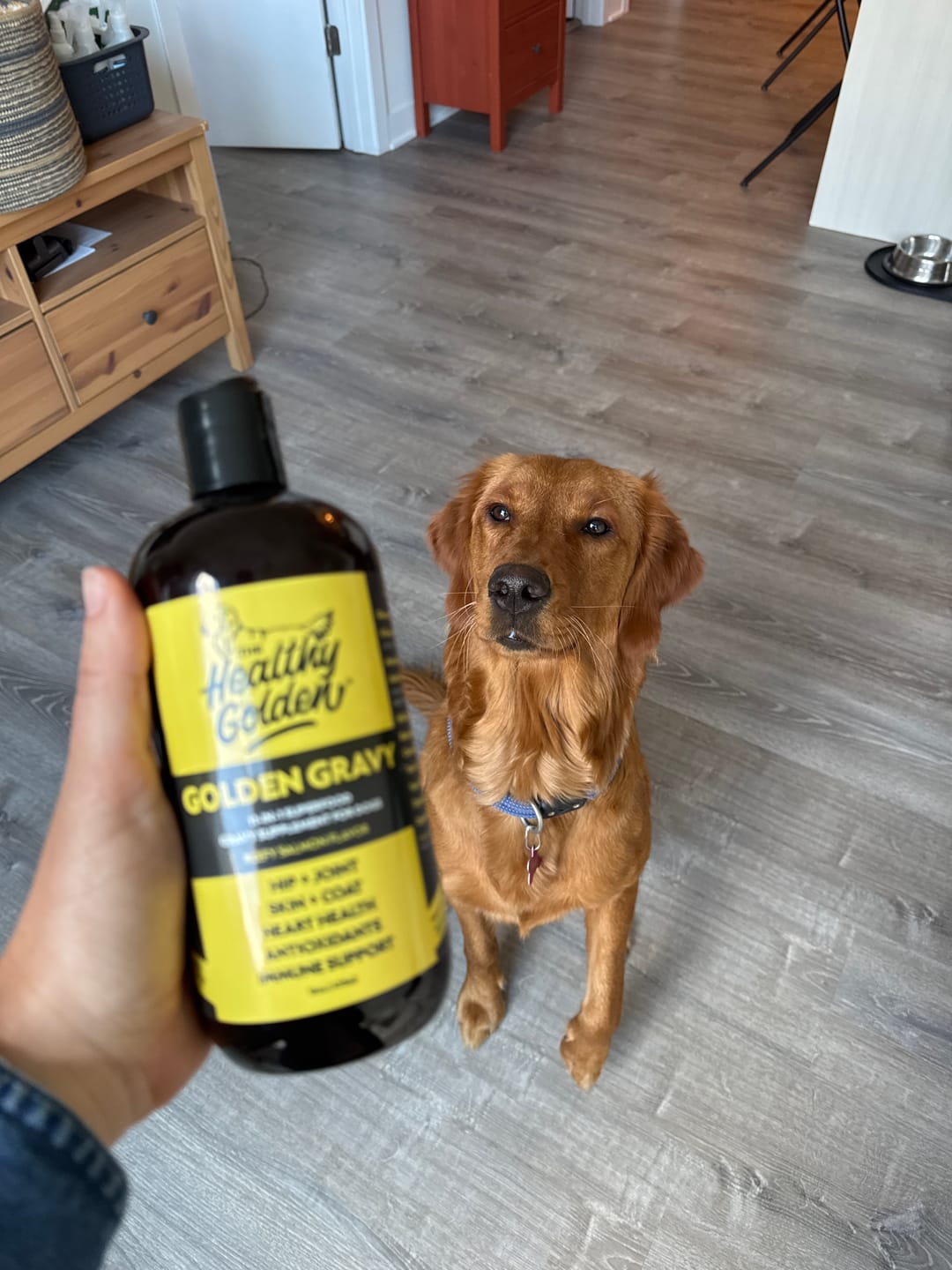 Customer photo review of Golden Gravy