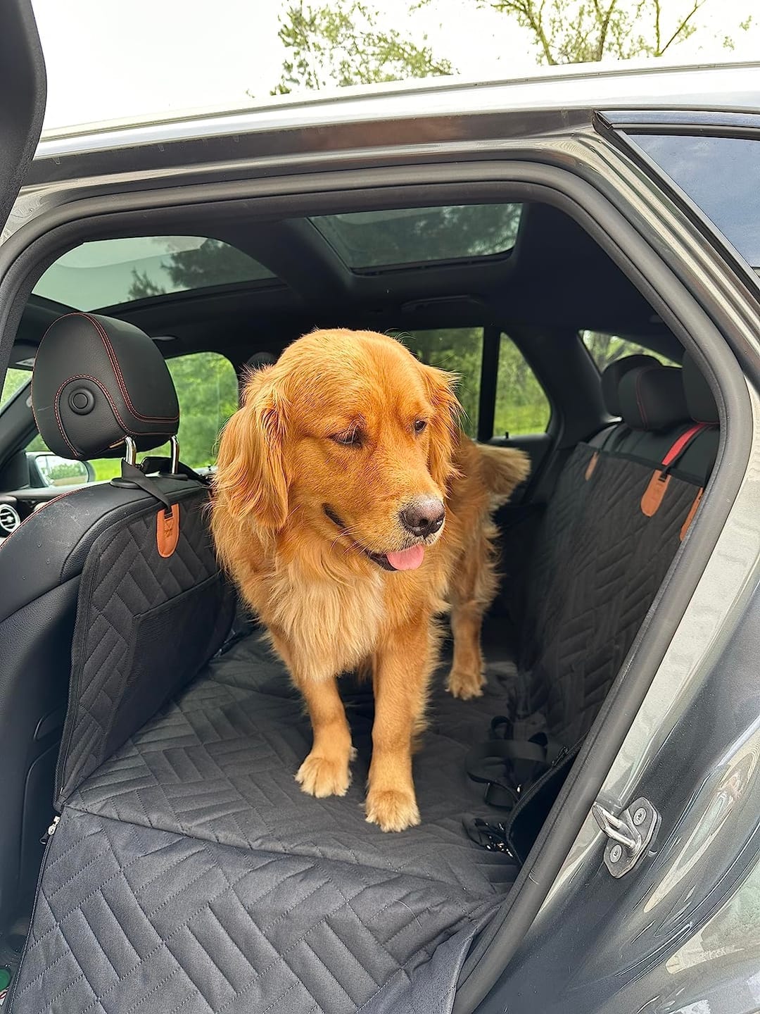 Customer photo review of MrBarks Dog Seat Cover