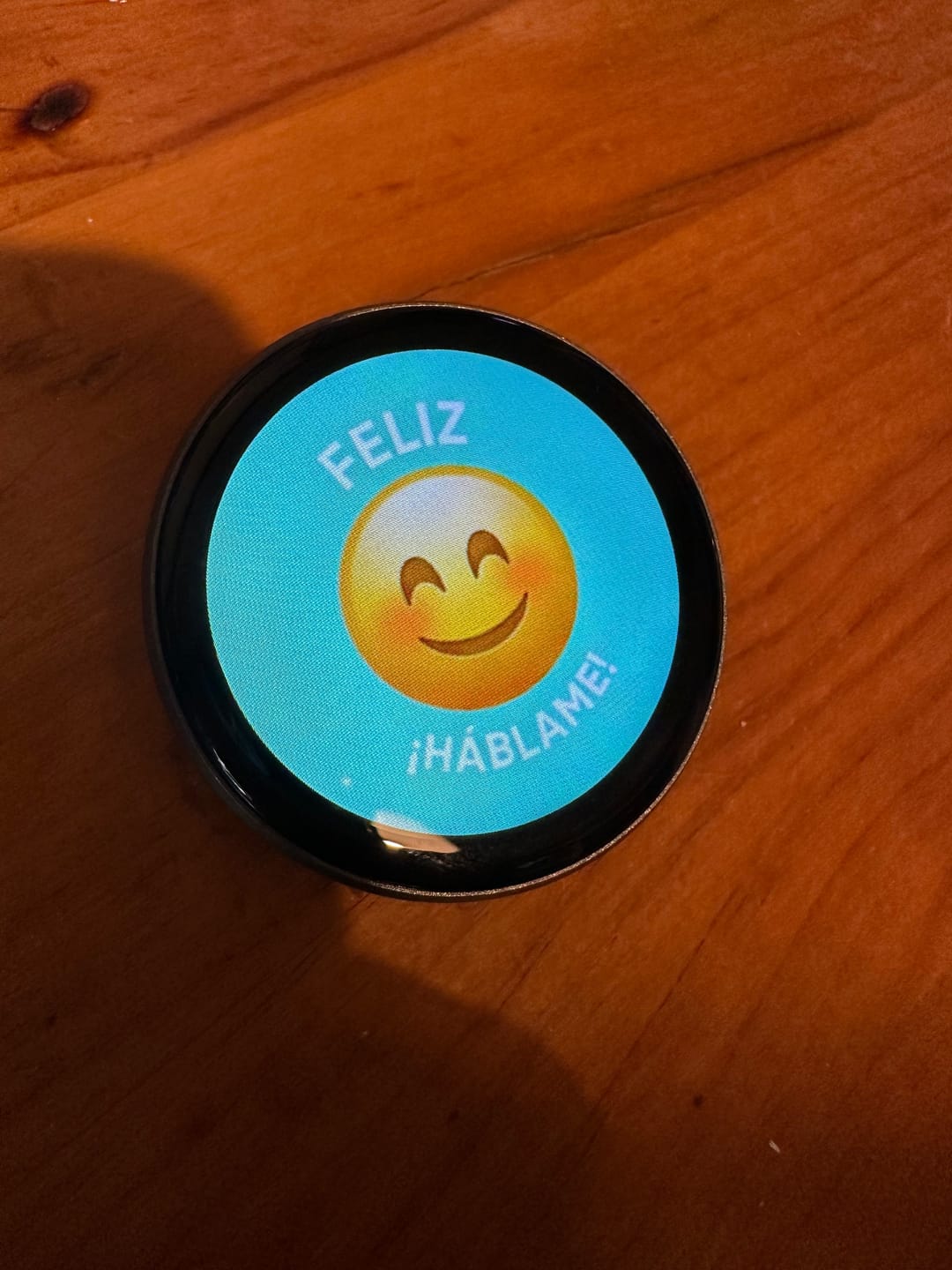 Customer photo review of Memo Pin - Estados de Ánimo