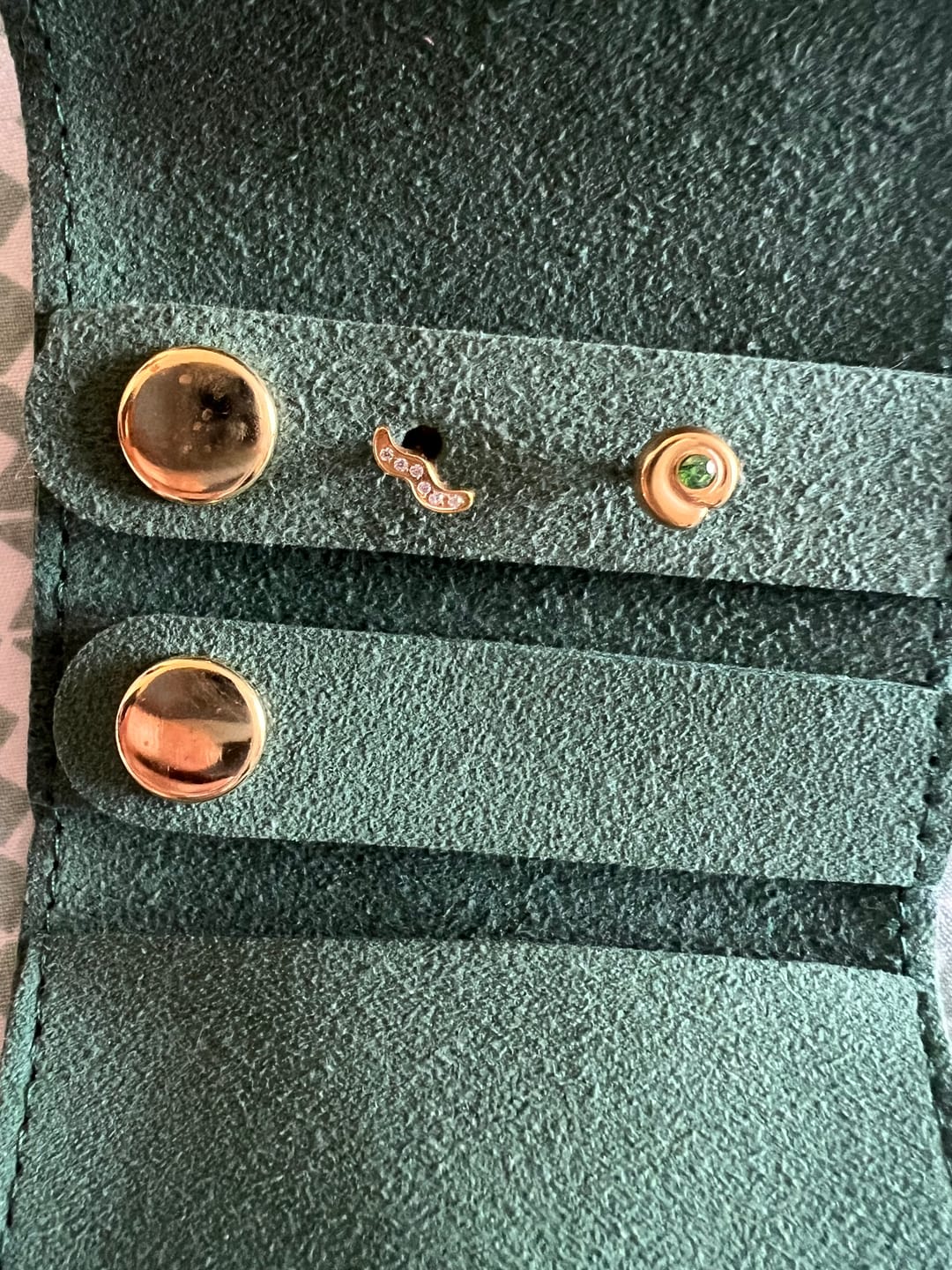 Customer photo review of Nautilus Flatback Green Gold