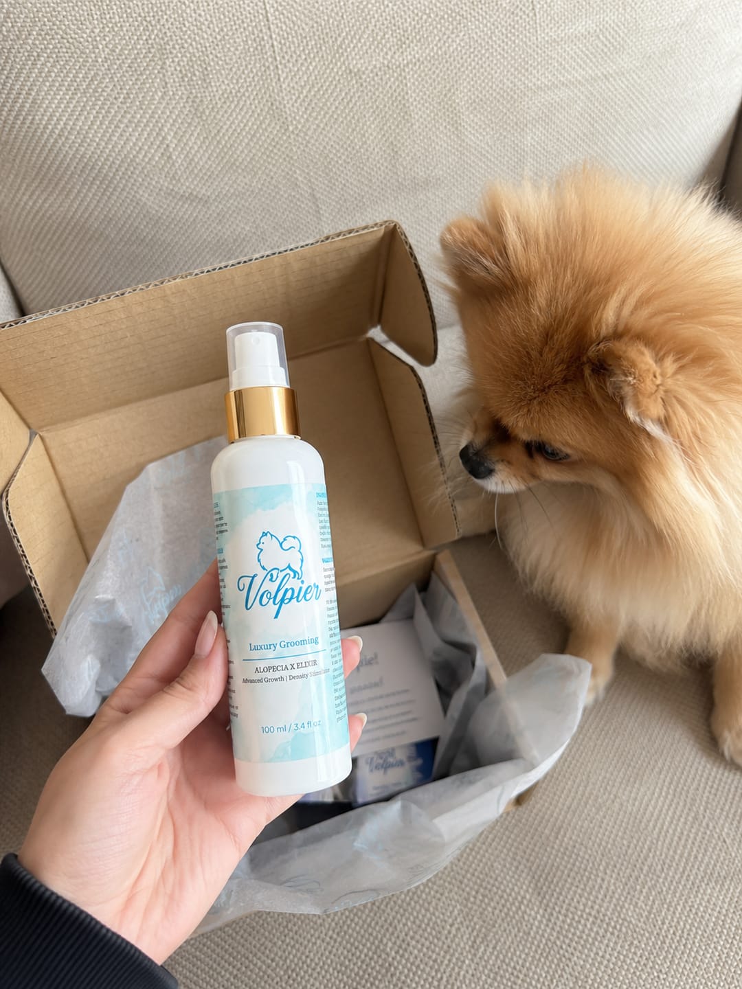 Customer photo review of 'Volpier Dermaluxe™' Lozione dermatologica avanzata per BSD, Alopecia X e rigenerazione del mantello