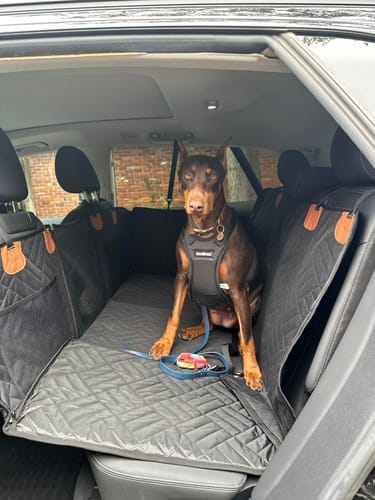 Customer photo review of MrBarks Dog Seat Cover