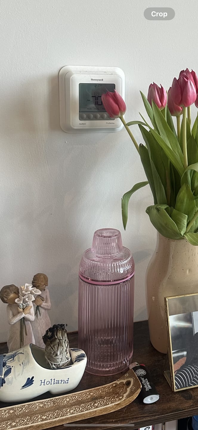 Customer photo review of Deco Gravity Bong