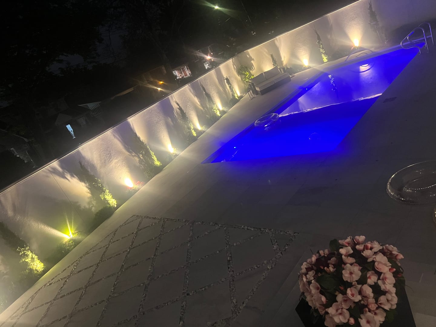Customer photo review of Dwarf Italian Cypress, Mediterranean Cypress