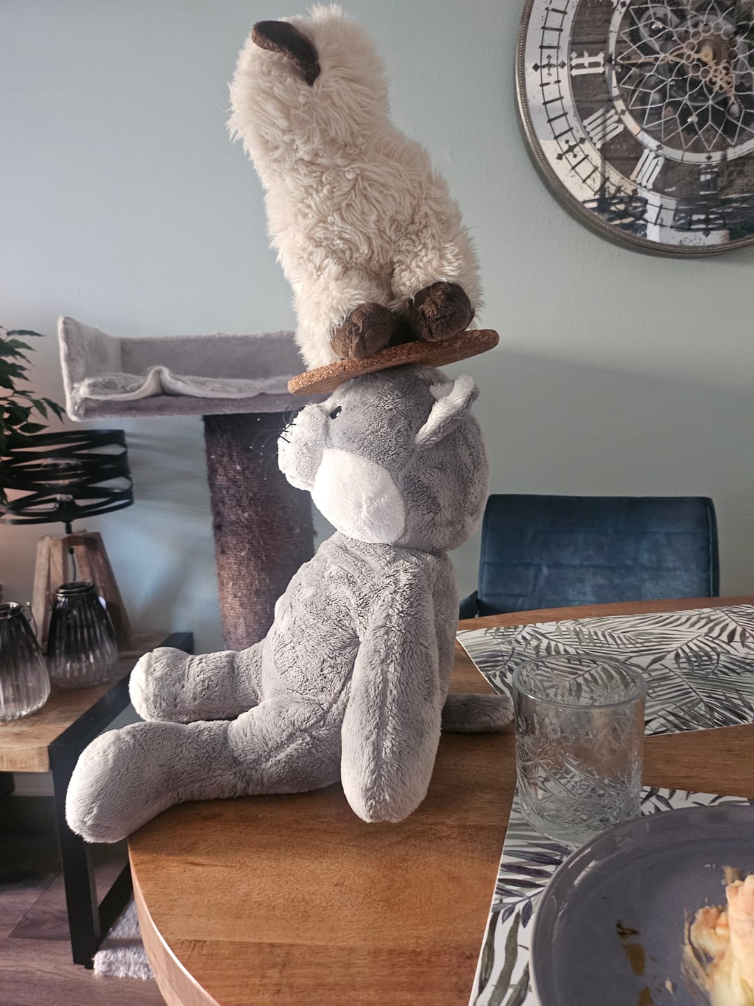 Customer photo review of Lotgenootje Kat 2kg