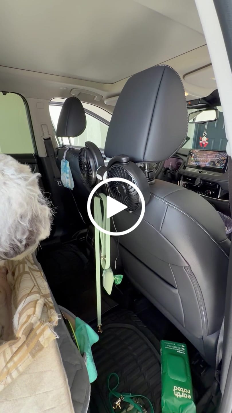 Customer video review of NEW Adjustable Backseat Dual Cooling Fans (Compatible with USB-A plug Only)