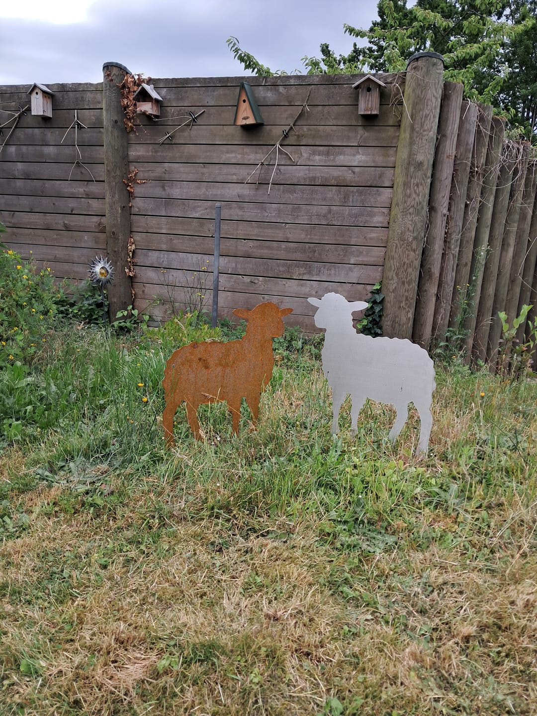 Customer photo review of Gartenstecker Schaf