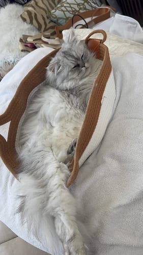 Kundenbewertung mit Foto zu Fellnest Katzenkorb