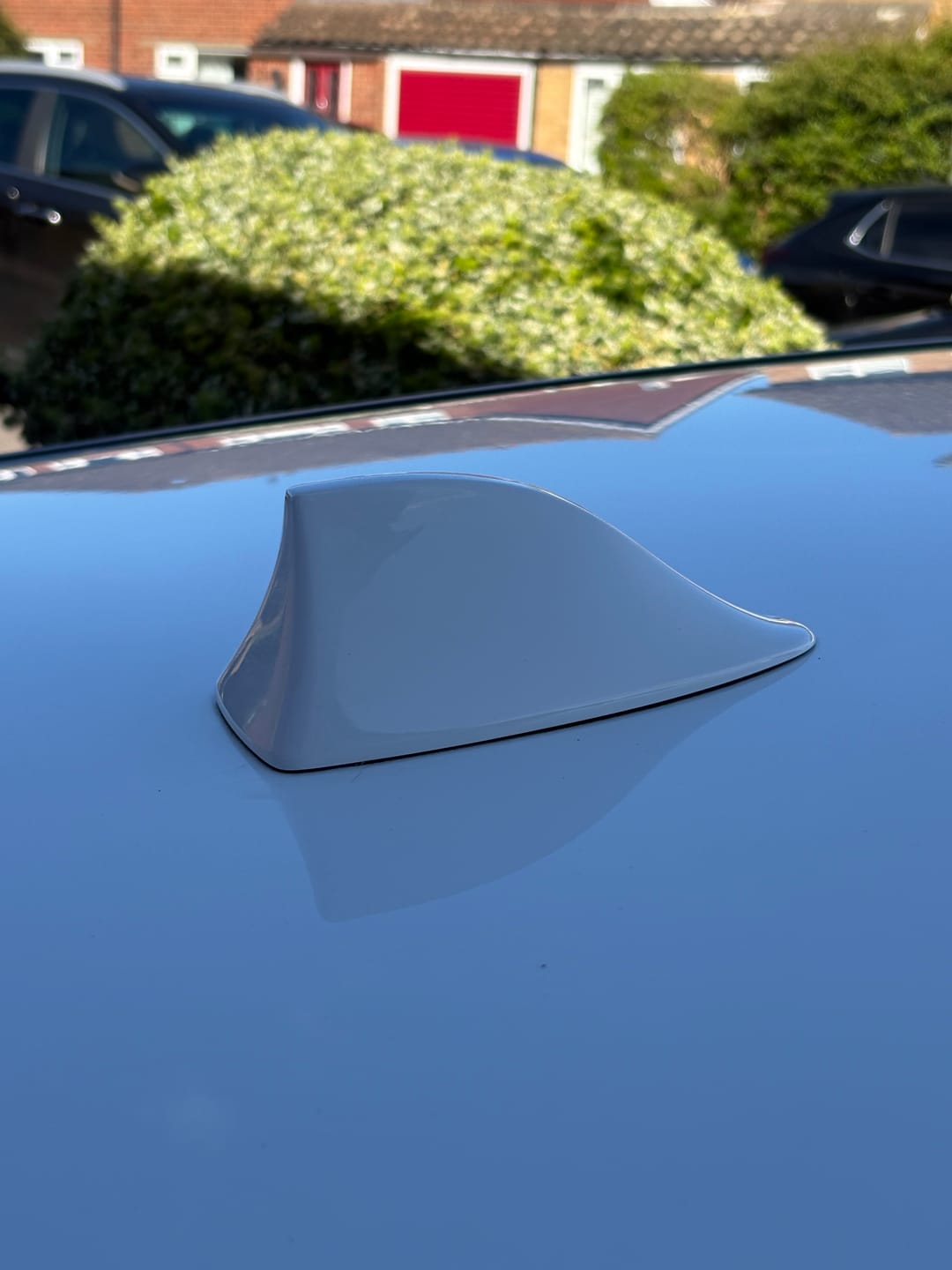 Customer photo review of 'Shark Fin' Aerial (Painted) - Mk3/3.5 Ford Focus / Mk8 Ford Fiesta