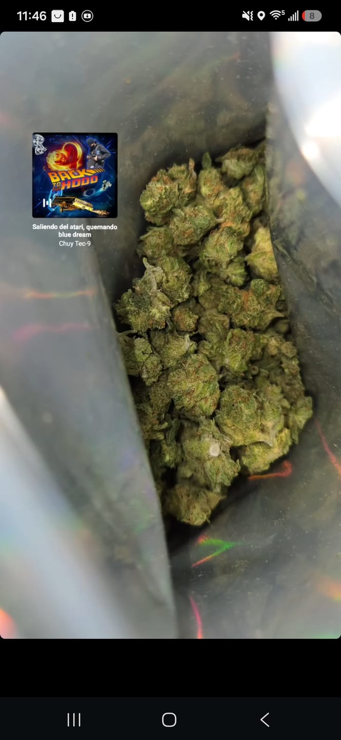 Customer photo review of Bubba OG - 14 Grams - Indica