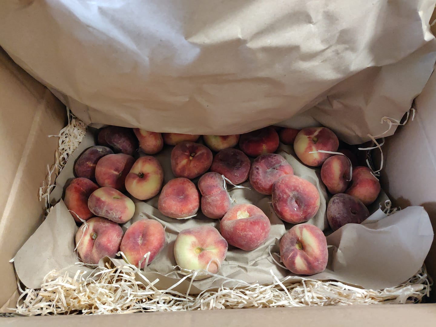 Customer photo review of Weinbergpfirsiche "Paraguayo" Bio von Jose 2kg Box Sonderpreis %