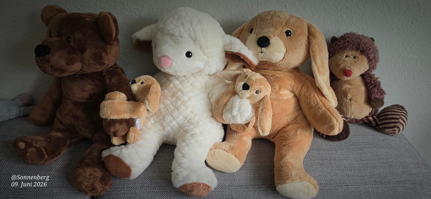 Customer photo review of Lotgenootje Konijn 2kg