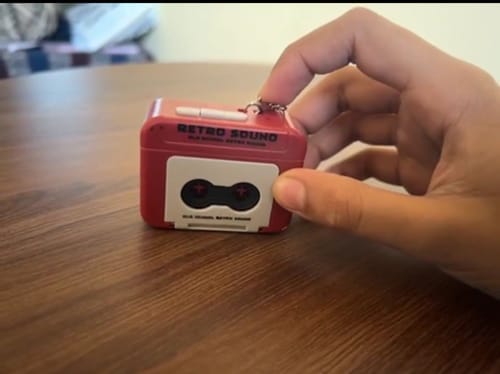 Customer photo review of Retro Voice Recorder Keychain