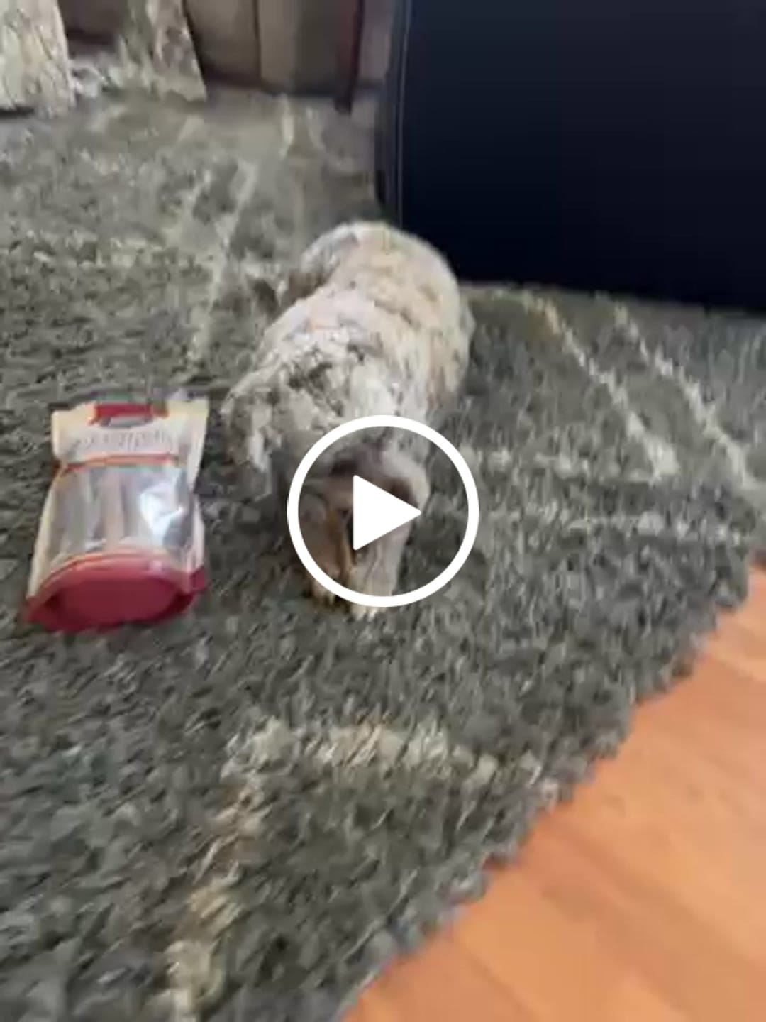 Customer video review of 5-6 Inch Collagen Stick