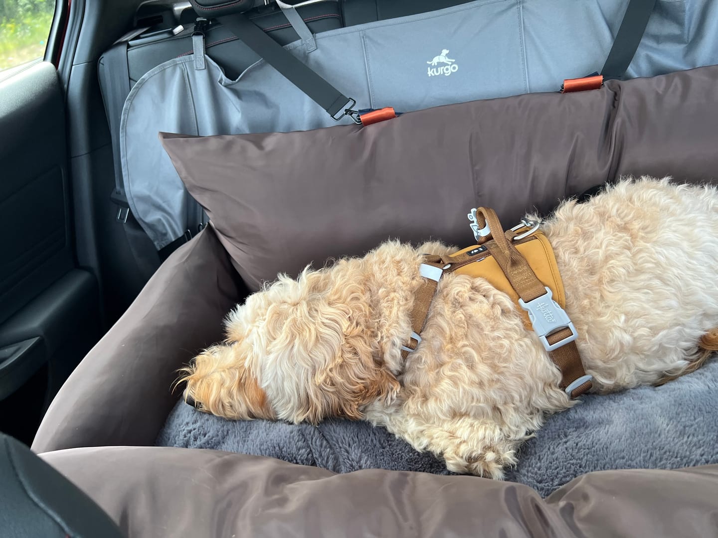 Customer photo review of Travel Dog Pod XL - Now With Isofix