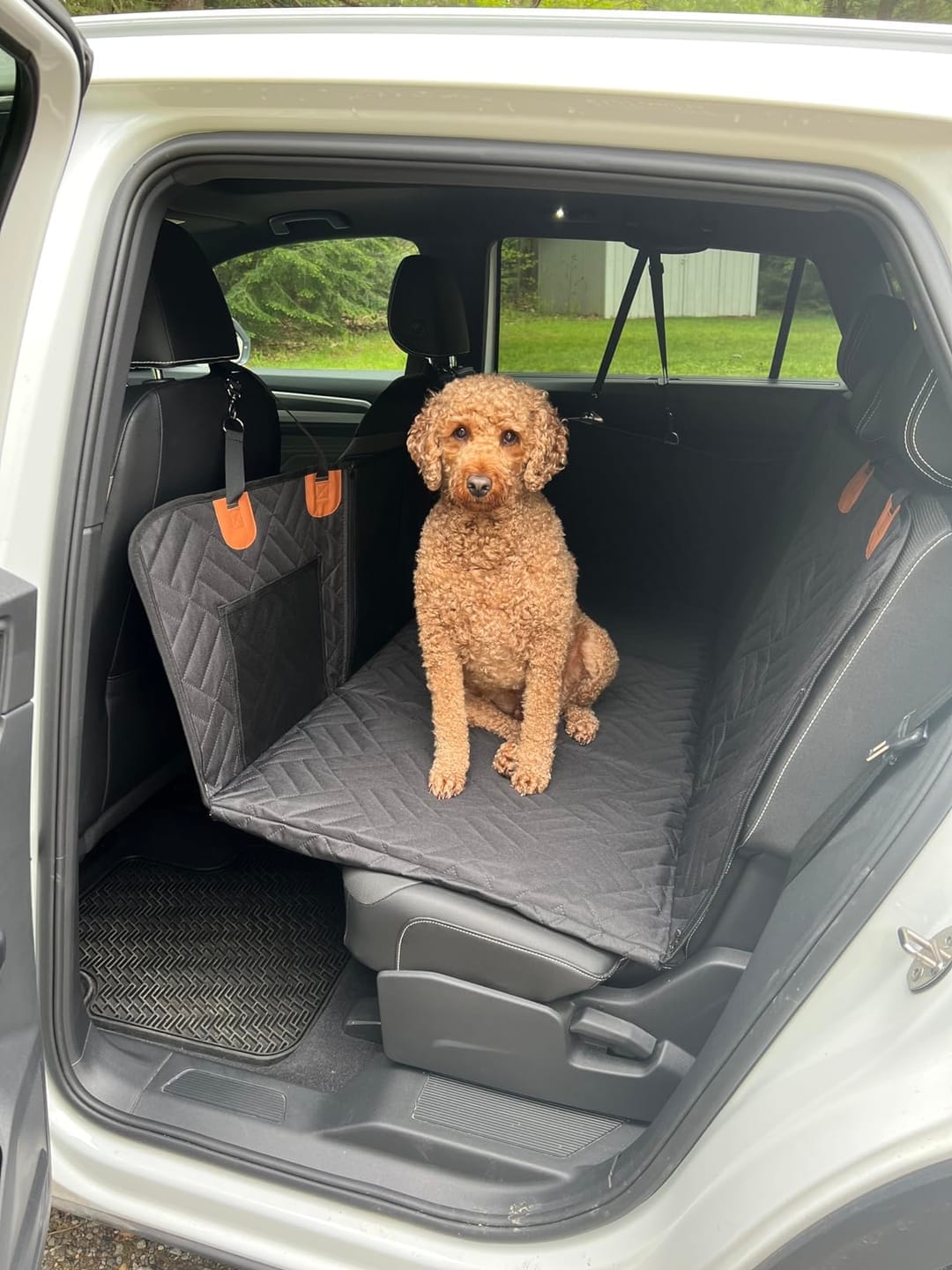 Customer photo review of MrBarks Dog Seat Cover