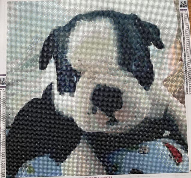 Customer photo review of Custom Diamond Painting Kits