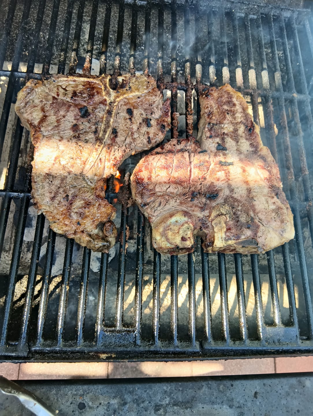 Customer photo review of T-Bone