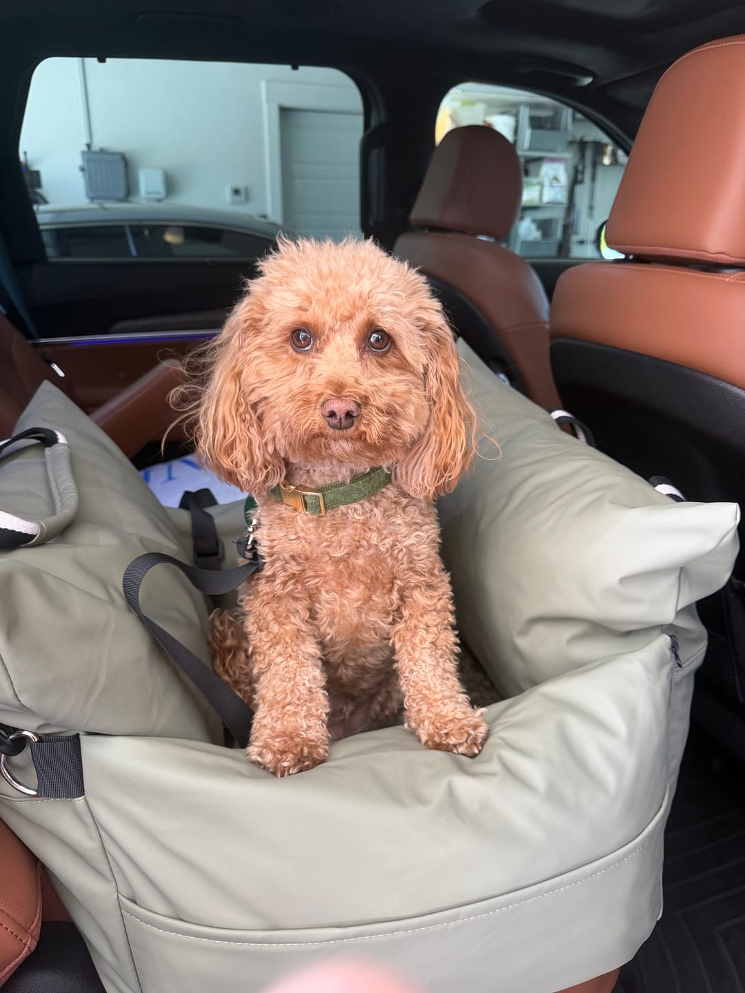 Customer photo review of The Dog Dock V2 New & Improved with LATCH / ISO FIX anchors